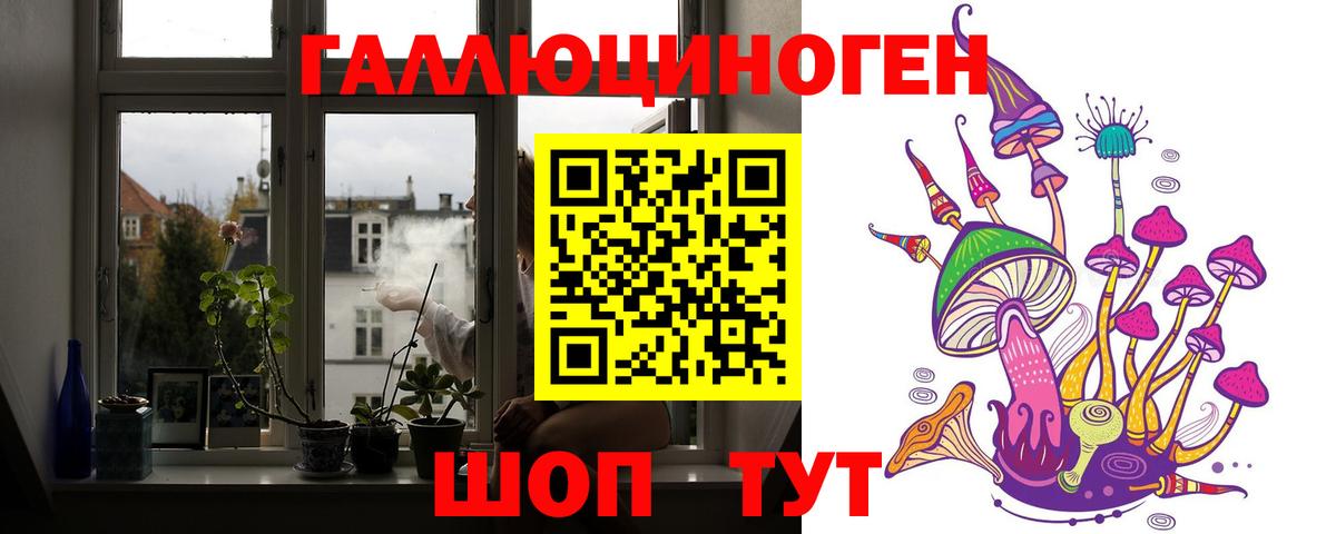 Галлюциногенные грибы Psilocybine cubensis Первоуральск