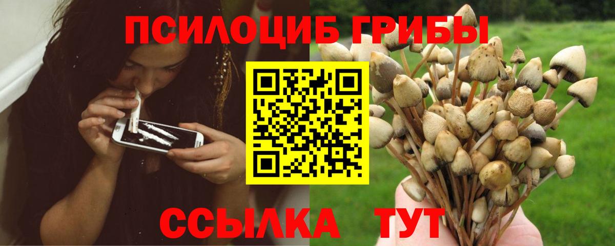 Первоуральск  Псилоцибиновые грибы мицелий  Псилоцибиновые грибы ЛСД  Вход с VPN 